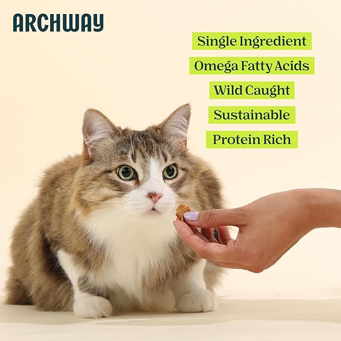ARCHWAY Dehydrated Silver Carp Cat Treats - Omega-Rich Wild Caught Fish - High Protein, Simple Ingredients Healthy Cat Snacks - Hypoallergenic, Gluten-Free - USA Made (2.5 oz)