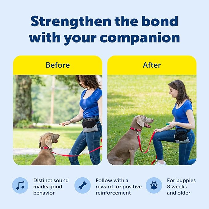 PetSafe Clik-R Training Tool for Pets - Includes Comfortable Finger Strap - Easy to Hold - Train Your Dog to Reward Good Behavior