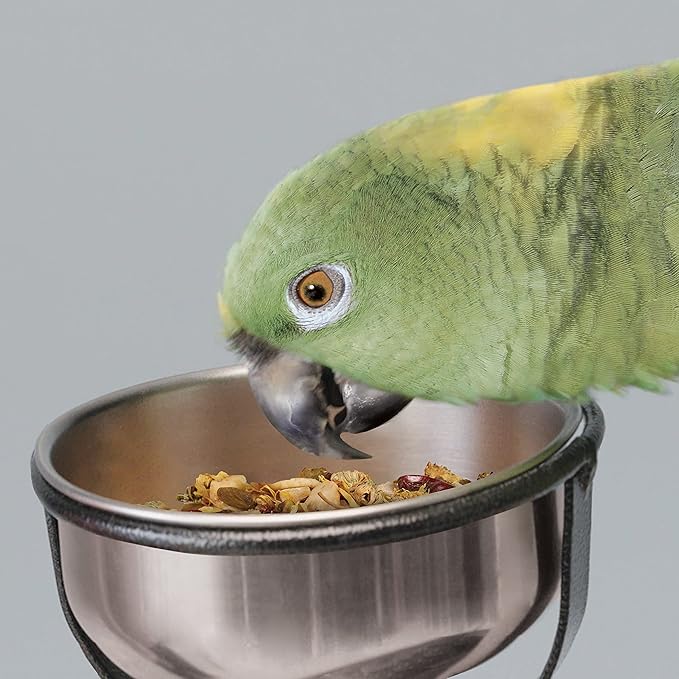 Kaytee Food from The Wild Natural Pet Bird Snack Food Treats for Conures, Pionus, Amazon Parrots, African Greys, Eclectus, Macaws, and Cockatoos, 3 oz. (Pack of 2)