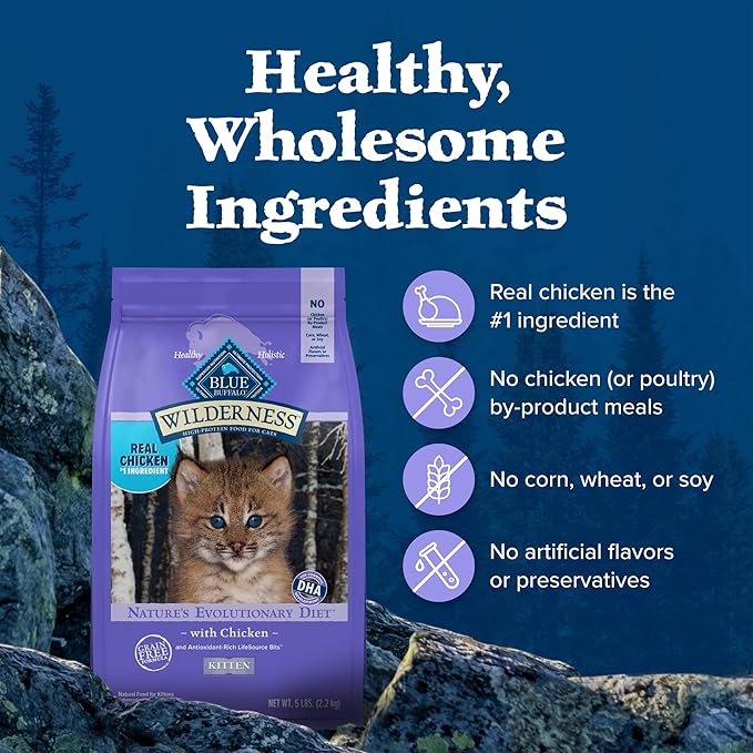 Blue Buffalo Wilderness Natural Kitten Dry Cat Food, with DHA and ARA to Support Brain and Eye Development, High-Protein and Grain-Free Diet, Chicken, 2-lb Bag