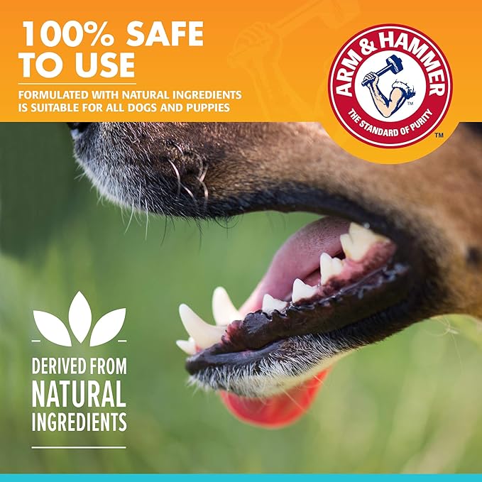 Arm & Hammer for Pets Fresh Breath Enzymatic Dog Toothpaste, Vanilla Ginger Flavor, Safe for Puppies and Adult Dogs, Daily Baking Soda Dental Gel to Eliminate Bad Breath, 2.5 Oz