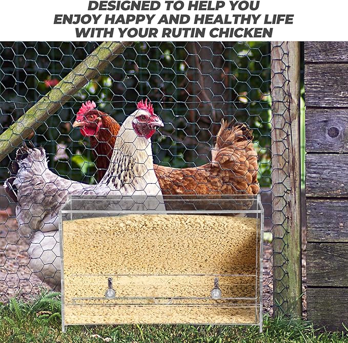 Beaupretty Automatic Acrylic Chicken Feeding Bowl Medium Multi-use Poultry Feeder Trough for Parrots and Birds Cage Use