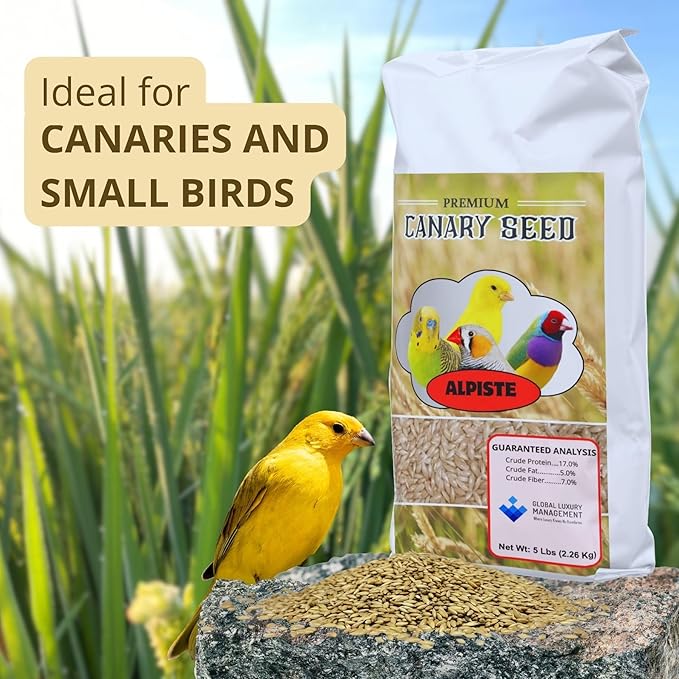Alpiste Canary Seed 5Lb Bag – Natural Bird Food for Canaries and Small Birds, Finch Food Supports Breeding Growth Digestion Healthy Plumage Bone Strength & Eggshell Formation (5 Lb)