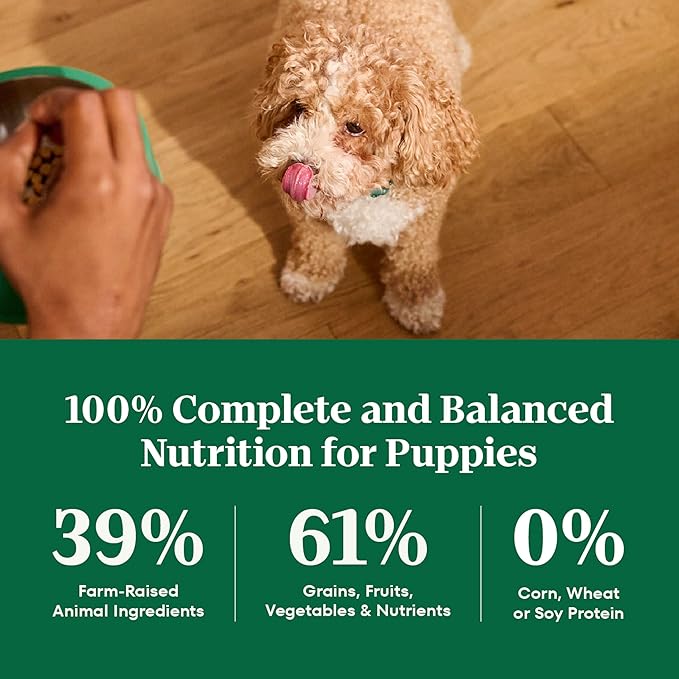 Nutro Natural Choice Dry Puppy Food, Dry Dog Food for Puppies, Lamb and Brown Rice Recipe, 12 lbs.