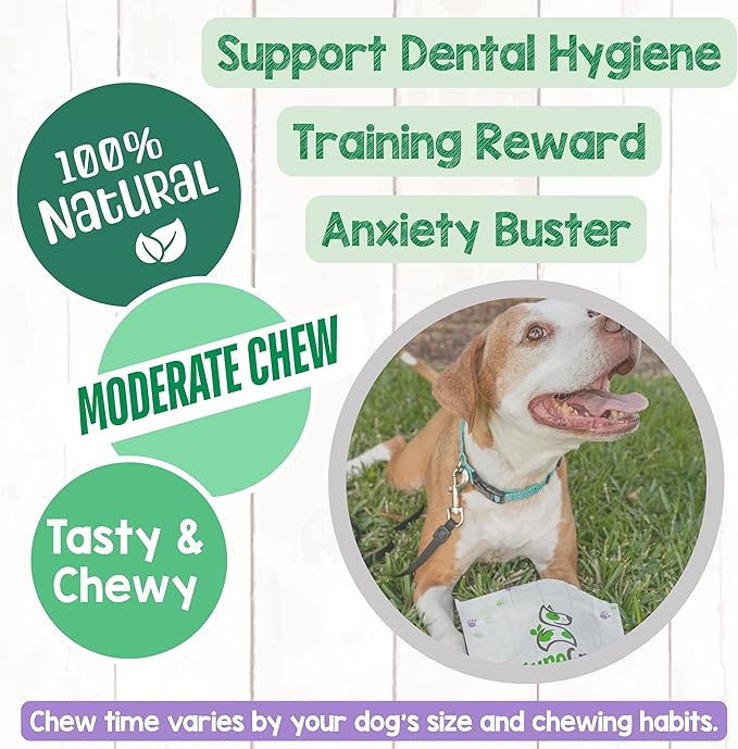 Nature Gnaws Braided Beef Chews for Dogs 5-6" (3 Count) - Long Lasting for Small and Medium Dogs - Natural Beef Gullet Jerky Dog Chew Treats