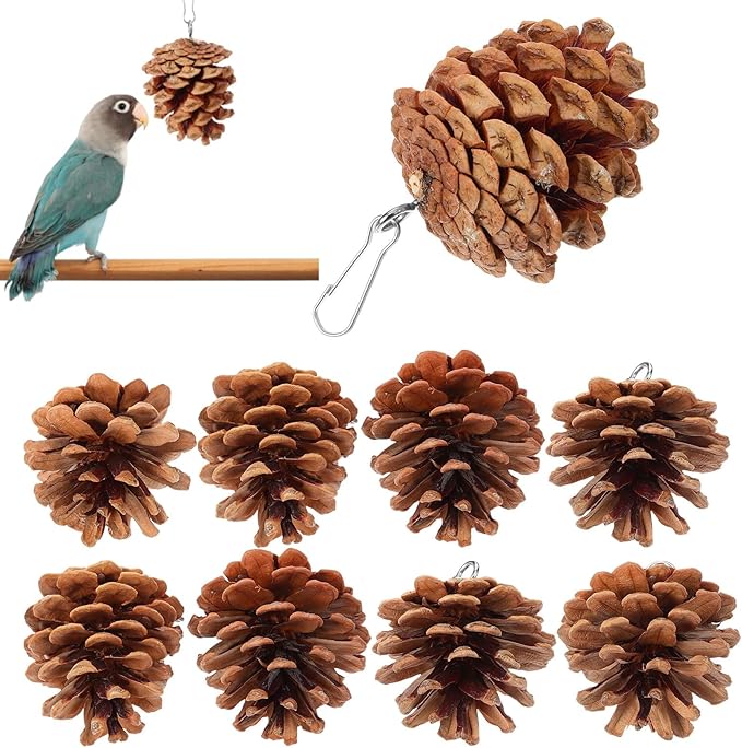 POPETPOP Hanging Parrot Chewing Toy Natural Pine Cone Bird Cage Toy for Foraging and Beak Exercise Durable Bite-Resistant Plaything for Parakeets Cockatiels Conures