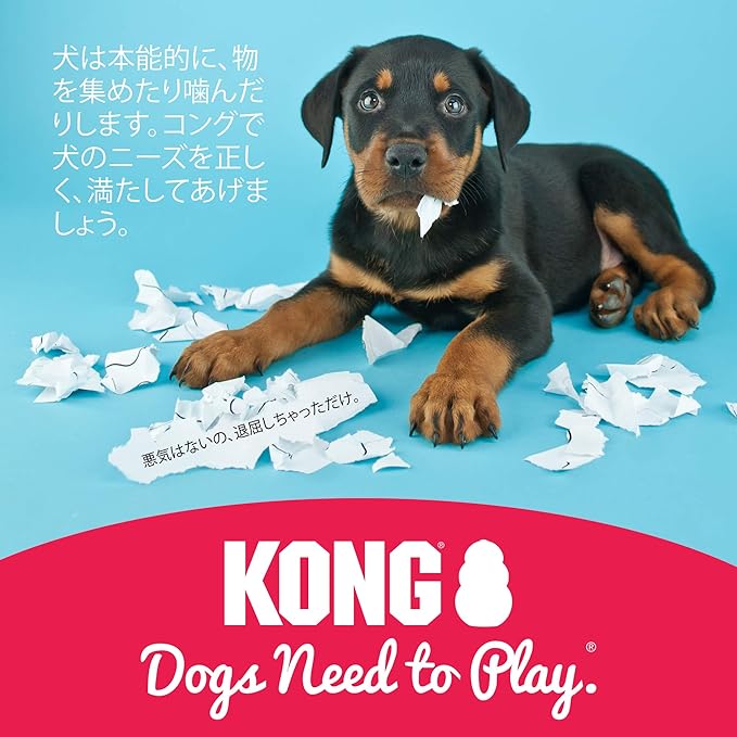 kongu (Kong) kongu Medium