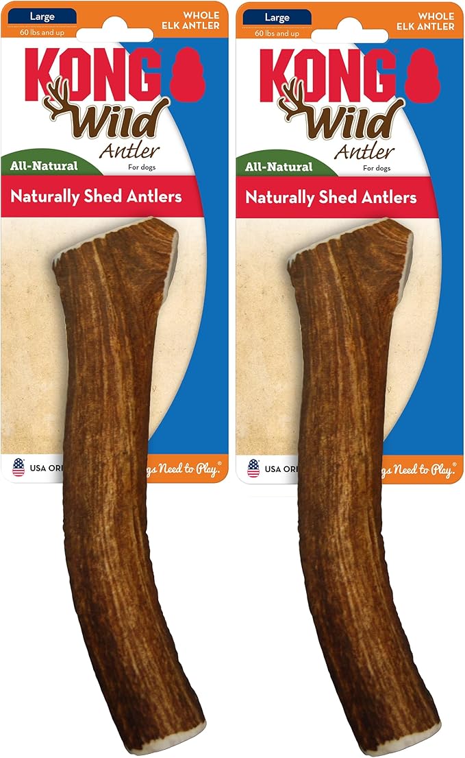 KONG Antlers for Dogs – 2 Pack of Naturally Shed Elk Antlers, 100% All-Natural & Sustainable Chews, Long-Lasting, Cleans Teeth, Freshens Breath (Large)
