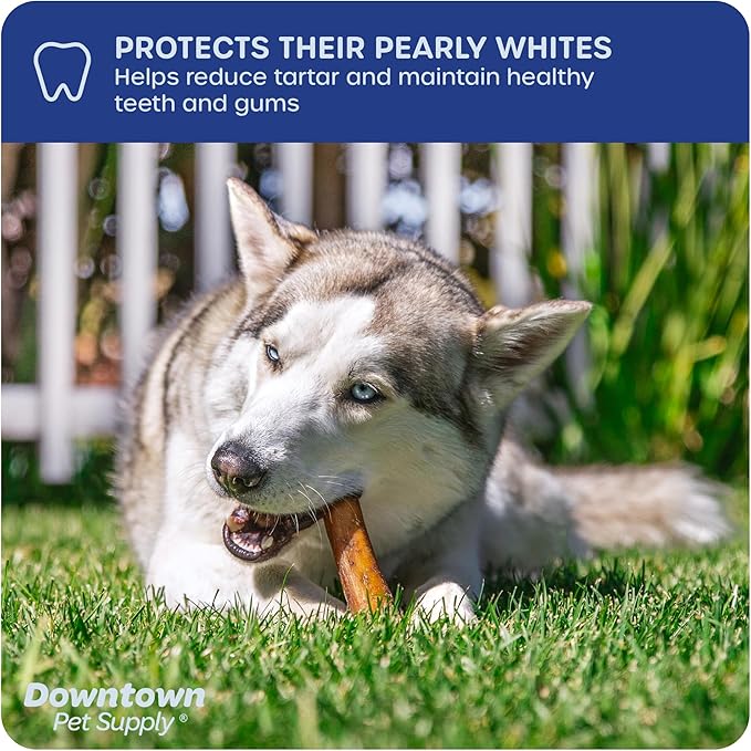 Downtown Pet Supply Jumbo Bully Sticks for Dogs - Natural Beef Chews, Low-Odor & Rawhide-Free, Long Lasting Dog Treats for Aggressive Chewers - Healthy, Safe & Delicious Chews Dogs Love (6" 24 Pack)