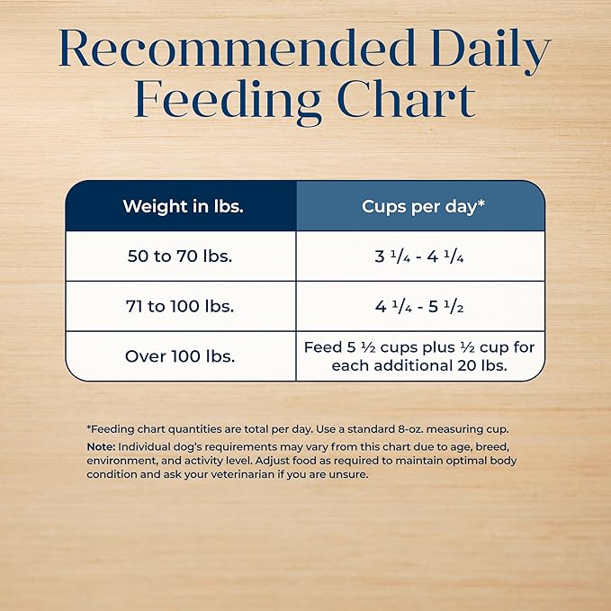 Blue Buffalo Basics Large Breed Adult Dry Dog Food, Skin & Stomach Care, Limited Ingredient Diet for Dogs, Turkey Recipe, 24-lb Bag