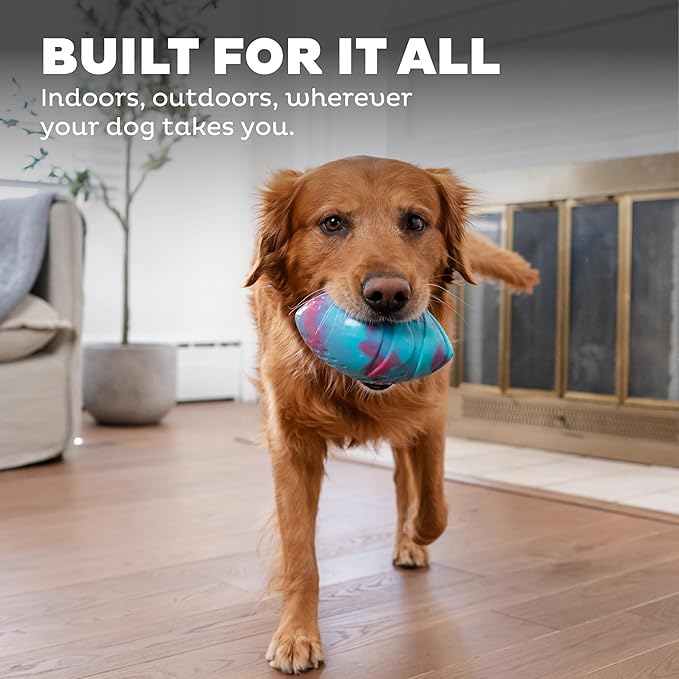 Outward Hound Grunt N' Punt Football Dog Toy - Throwing, Fetching Fun (Pack of 2)