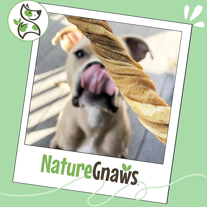 Nature Gnaws Tripe Twists for Dogs 4-5" (10 Count) - Crunchy Grain Free Reward Snack for Small, Medium & Large Breeds - Natural Beef Dog Chew Treats - Rawhide Free