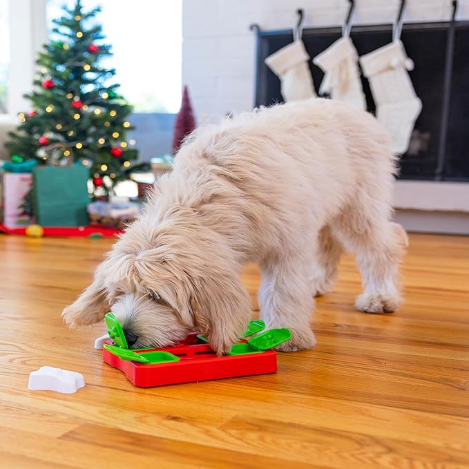 Outward Hound by Nina Ottosson Holiday Dog Brick Treat Puzzle Dog Toy, Level 2 Intermediate, Red, Small