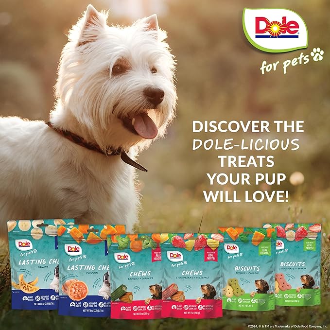 Dole for Pets Freshly Fetched Lasting Chew Banana Flavor Dog Treats, Medium and Large Breeds, No Wheat, Corn, Soy, Artificial Flavors, Colors, or Animal Products, 8 Ounces, 5 Chews