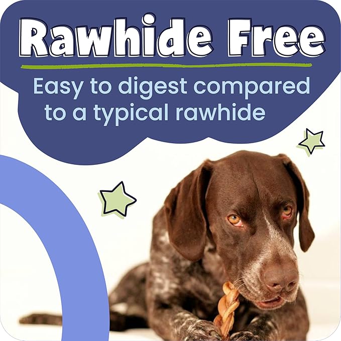 Pawstruck Natural 7” Braided Bully Sticks for Dogs, Tough Long-Lasting, Rawhide-Free, Low Odor, Healthy Single Ingredient Chew Treat for Aggressive Chewers, 25 Count, Packaging May Vary