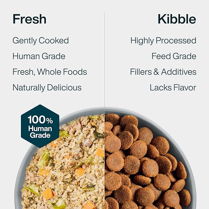 JustFoodForDogs Pantry Fresh Wet Dog Food, Complete Meal or Topper, Chicken & White Rice Human Grade Recipe - 12.5 oz (Pack of 6)