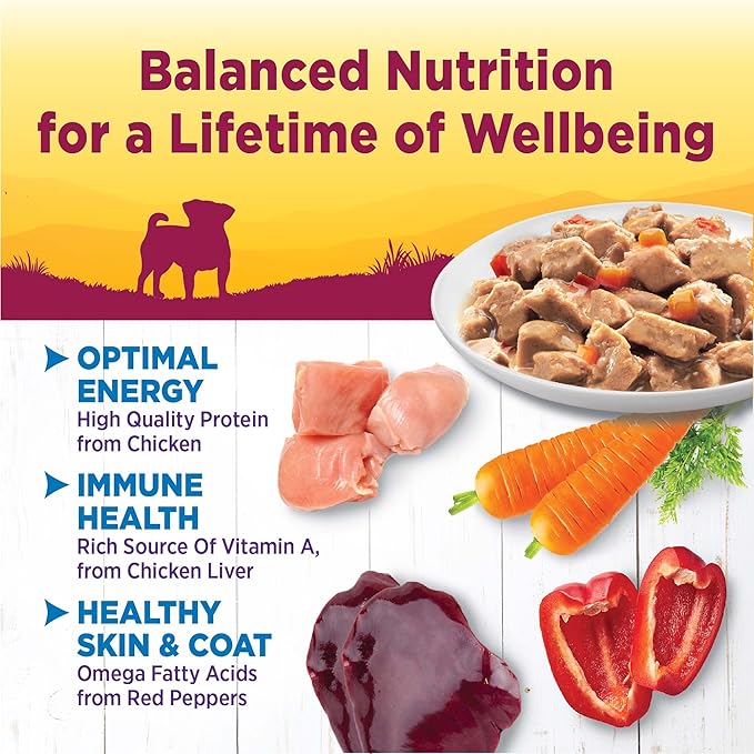 Wellness Petite Entrees Mini Filets Small Breed Adult Wet Dog Food, Grain Free, Natural, Roasted Chicken, Carrots, and Red Peppers, 3 oz, Pack of 12 Cups