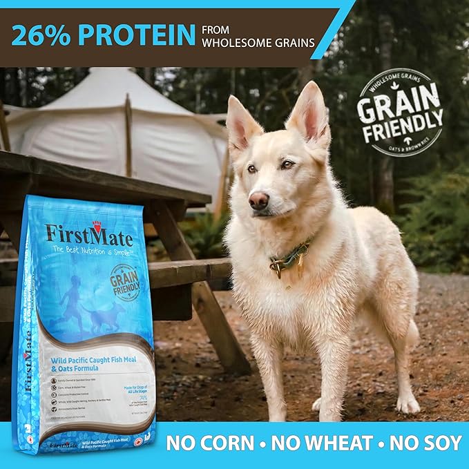 FirstMate Grain Friendly Dog Food Wild Pacific Fish & Oats Formula – Wild Caught Herring Anchovy & Sardine, Single Protein, Pea Free & Potato Free Dry Dog Food with Wholesome Grains – 25 lb Bag