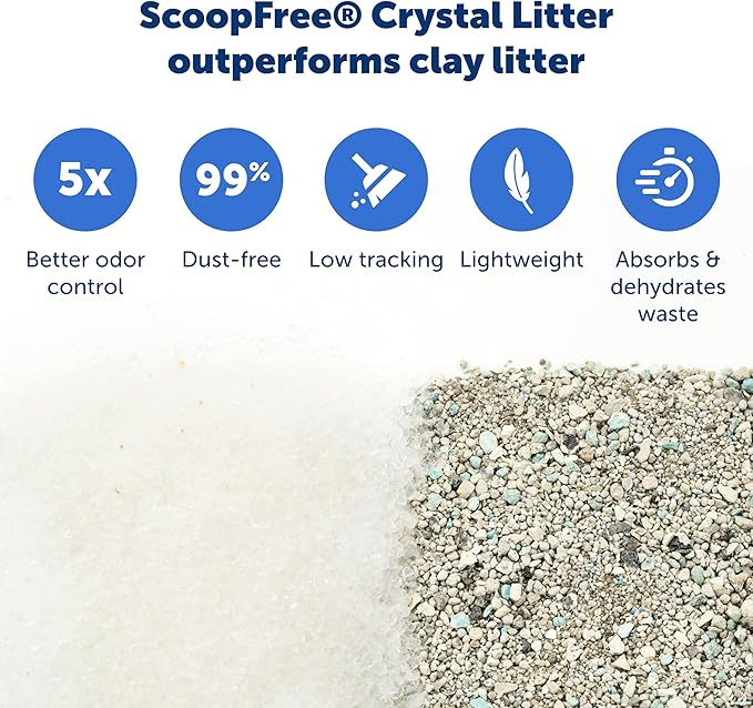 PetSafe ScoopFree Crystal Cat Litter & Refill Tray with Lid, Fragrance Free, 4.3 Lb Bag with Each Tray, Pack of 3