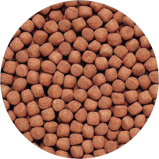 Hikari 2-Ounce Cichlid Gold Floating Pellets for Pets, Large