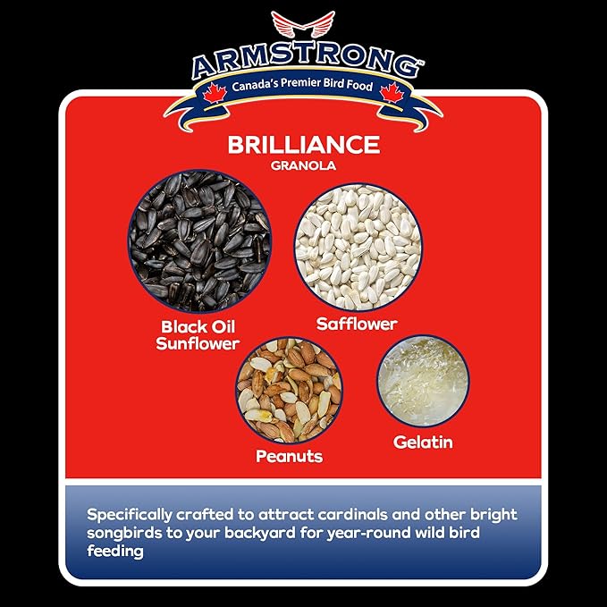 Armstrong Wild Bird Food Royal Jubilee Brilliance Granola Stack, 4.94oz – High-Energy Treat with Black Oil Sunflower, Safflower & Peanuts - Ideal for Granola Stack Feeders