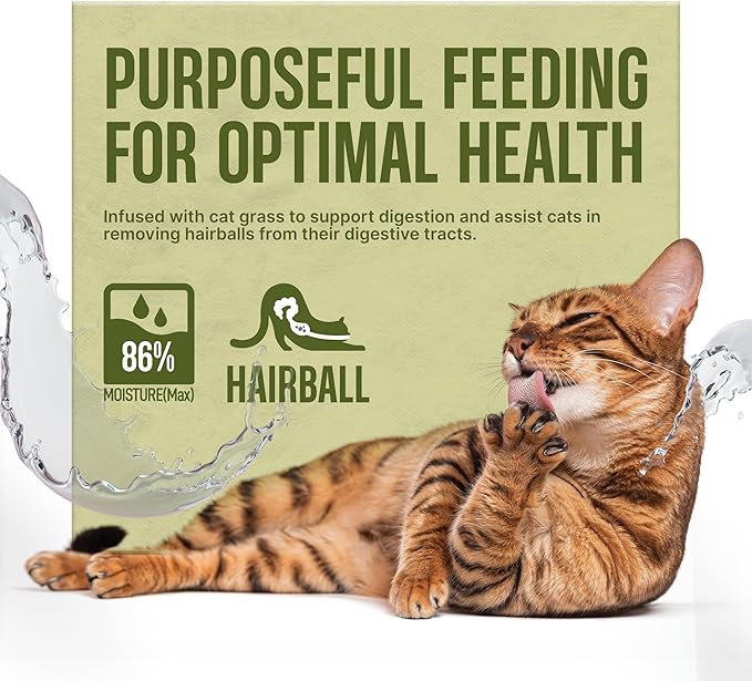 Petphabet Lickable Cat Treats Spoon, 36 Count Creamy Puree Kitten Treats Chicken & Wheat Grass Recipe, Functional Wet Paste Cat Snacks for Hairball Control, Grain-Free Kitty Treat with Vitamin Taurine