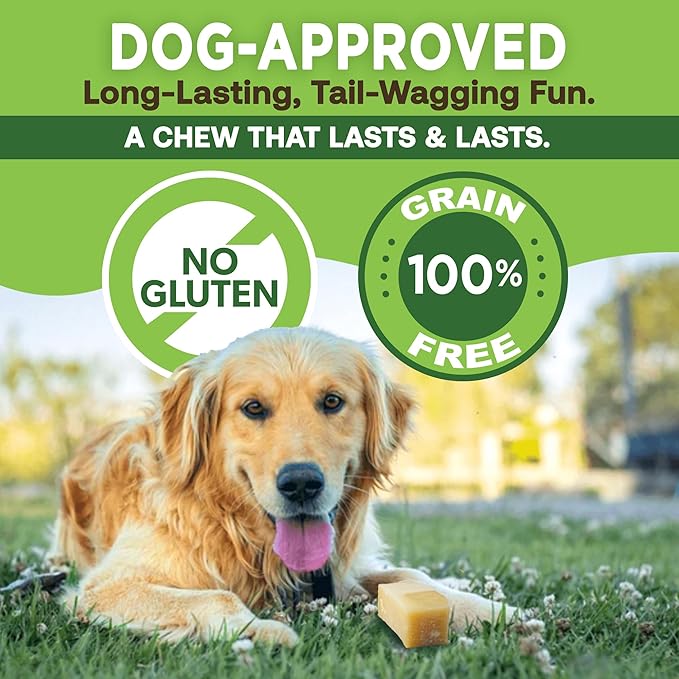 Ecokind Himalayan Chews, Healthy Treats, Odorless, Rawhide Free, Long Lasting Dog Bones for Aggressive Chewers, Indoors & Outdoor Use, Made in The Himalayas, Large (Pack of 20).