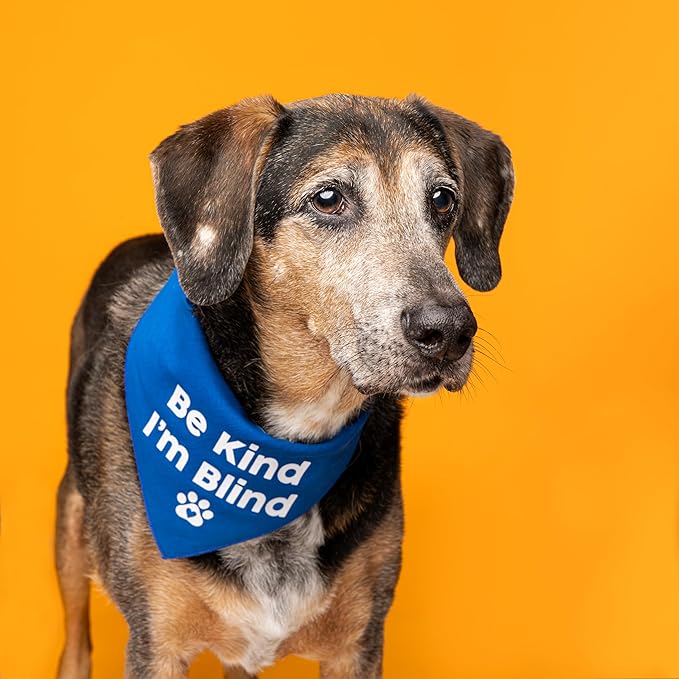 Be Kind I'm Blind Dog Bandana | 100% Adjustable Cotton Triangle | Made in USA | Blind | Impaired | Vision Loss Accessory | Warning | Turquoise, X-Small (352)