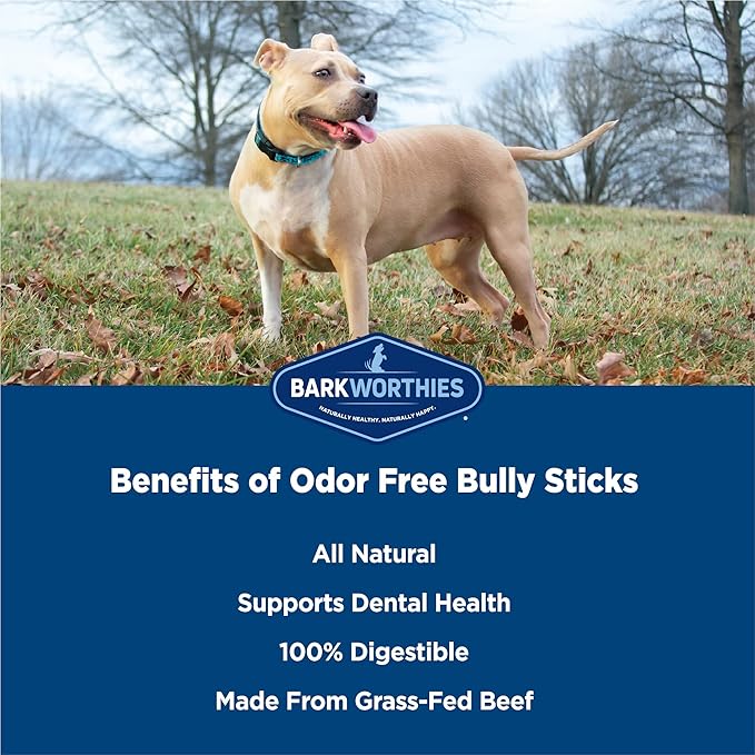 Barkworthies Odor-Free 6 Inch Bully Sticks - 5 Count (Pack of 1) - Protein-Packed, Easily Digestible, All-Natural Rawhide Alternative, Promotes Dental Health