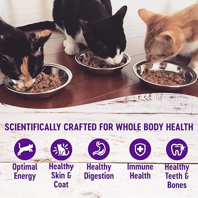 Wellness Healthy Indulgence Morsels Adult Wet Cat Food, Natural, Protein Rich, Grain Free, Tuna Recipe, 3 oz, Pack of 24 Pouches