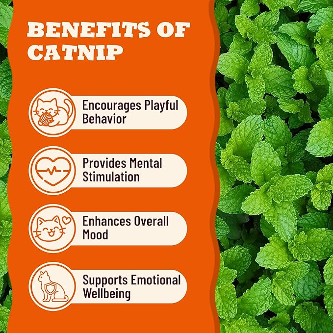 13.05oz Catnip Treats for Cats with Taurine for Cats and Vitamins, Crunchy and Soft Cat Treats for Digestive Health & Mood Support - Chicken Flavor, Healthy Cat Treats for Kittens
