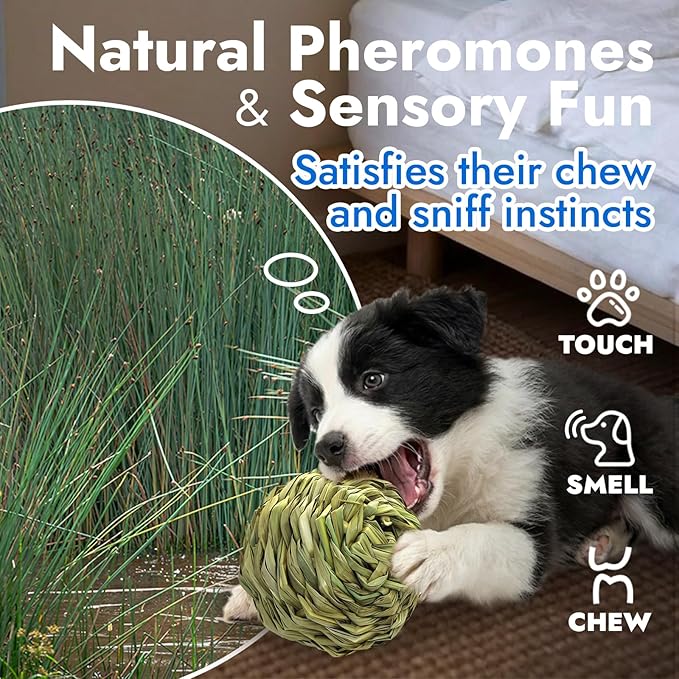 Dog Chew Toys, 3pcs Woven Grass Chew Ball for Dogs, Dental Teething & Interactive Fetch Toys, Outdoor Digestible Chew Ball for Boredom Relief - Reed, Seaweed & Corn Husk, Seaweed & Corn Silk