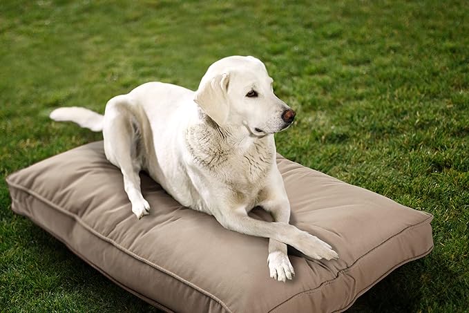 Sunbrella Double Sided Dog Bed for Indoor/Outdoor,Washable Cover & Chew Proof, Pets Mat for Multipurpose, Easy Care & Pet Safe Products (Small, Polyester, Sand, 26”x18”x 3")