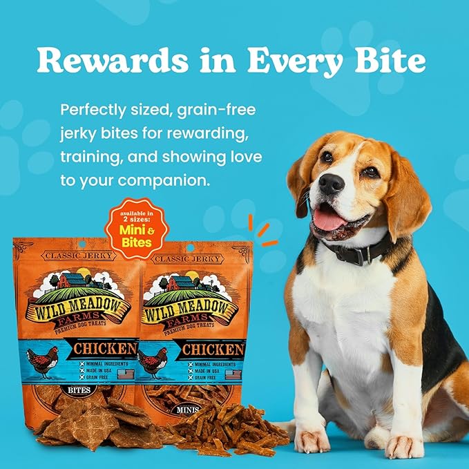 Classic Chicken Bites, Soft Jerky Treats for Dogs, Grain-Free & All-Natural, Ideal for Training, Portioning, and High-Value Rewards for All Breeds & Ages - 3.5 Ounce Pouch