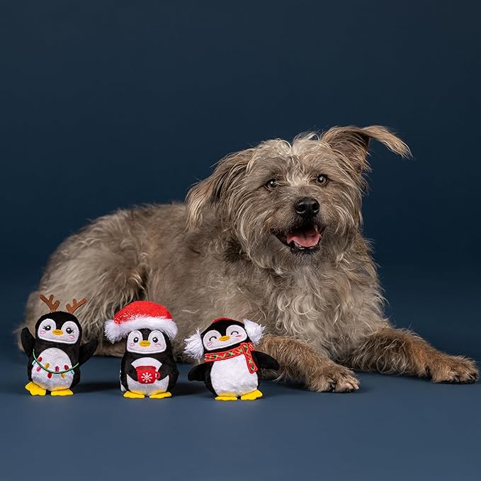 Fringe Studio Pet Toy, Waddle Squad Penguins Plush Dog Toy 3 Piece Set, PetShop Collection (662195)