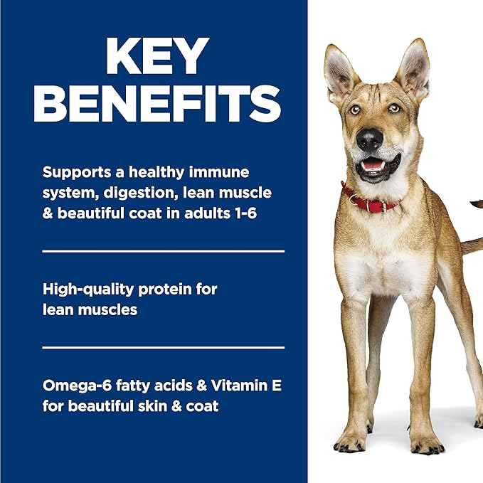 Hill's Science Diet Adult 1-6 Wet Dog Food, Chicken & Barley, 13 oz. Cans, 12-Pack