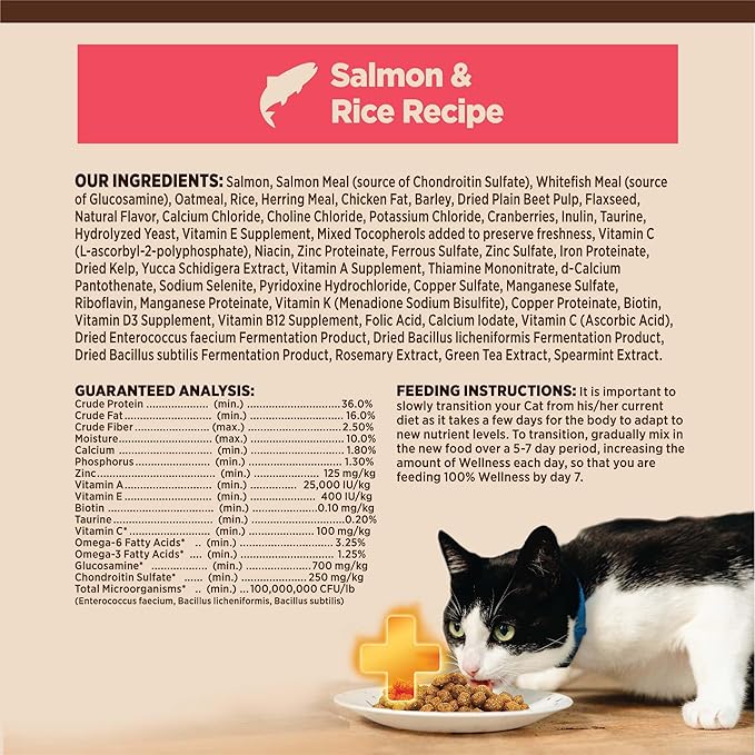 Wellness CORE+ Digestive Health Adult Dry Cat Food, Natural, Wholesome Grains Kibble, Salmon and Rice Recipe, 5 lb Bag