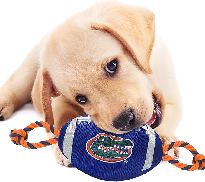 Pets First NFL Unisex NFL Nylon Football