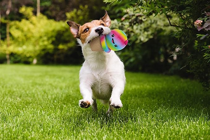 Pets First LaurDIY Ice Cream Cone Plush Pet Toy with Rope & Squeaker - LAURDIY Super Cute Dog Nylon Toy
