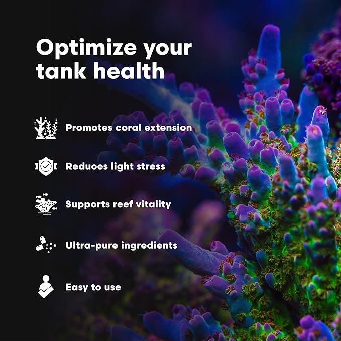 Brightwell Aquatics Iodion Iodide Supplement for Corals Clams Fish Macroalgae Enhances Polyp Extension Lighting Tolerance in Reef Marine Aquariums, 2L
