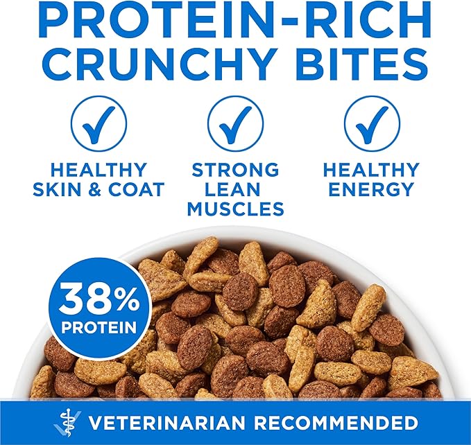 Purina ONE Plus High Protein Cat Food Dry Salmon and Ocean Whitefish Cat Skin and Coat Health Formula - 22 lb. Bag