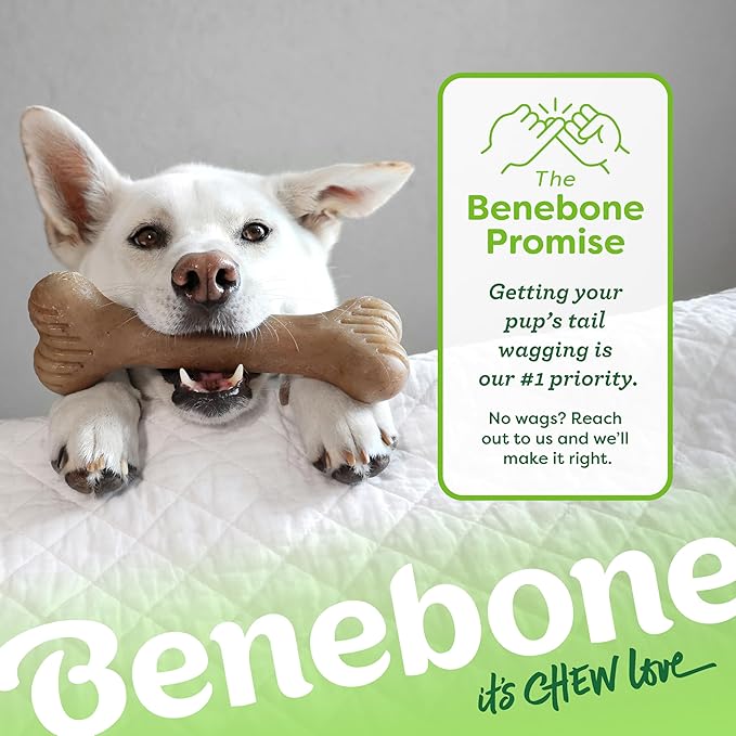 Benebone Bone Durable Dog Chew Toy for Aggressive Chewers, Real Bacon, Made in USA, Giant