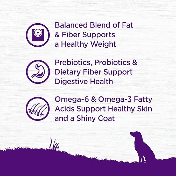 Wellness Complete Health Healthy Weight Adult Dry Dog Food, Wholesome Grain Kibble, Chicken and Peas Recipe, 26 lb Bag