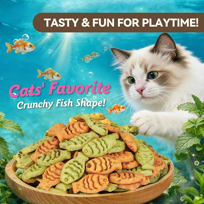 Catnip Cat Treats, Chicken & Salmon Flavor Crunchy Cat Biscuits, Fish-Shaped Training Snacks for Adult Cats, 8 oz