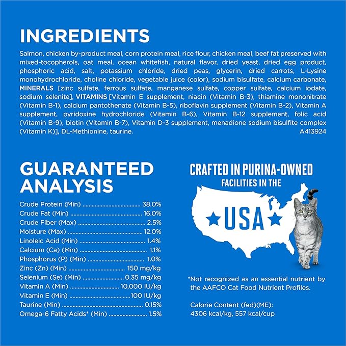 Purina ONE Plus High Protein Cat Food Dry Salmon and Ocean Whitefish Cat Skin and Coat Health Formula - 22 lb. Bag