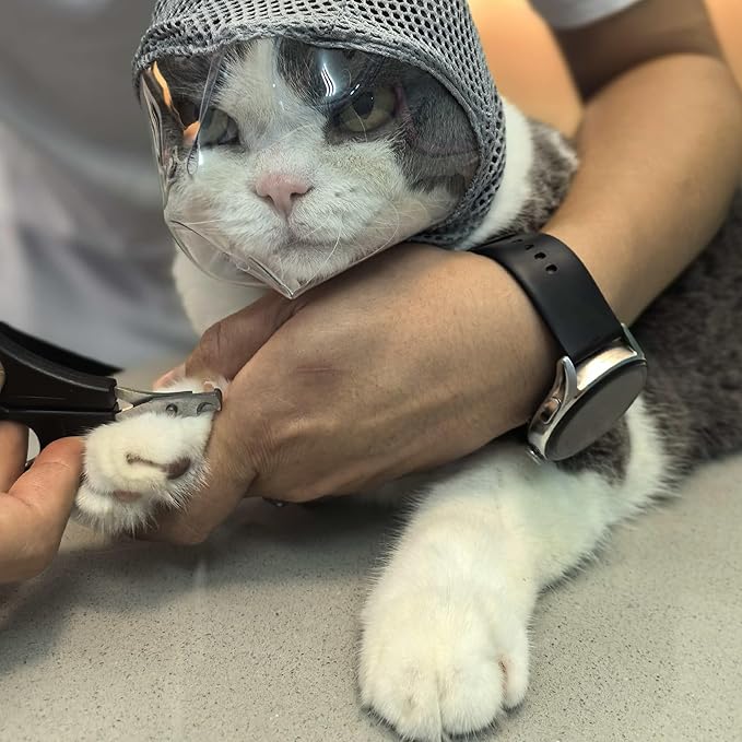 Cat Muzzle for Grooming, Adjustable Transparent Anti-Bite Cat Mask for Nail Clipping (Grey S)