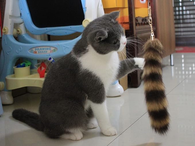 Fosrion Real Raccoon Tail Fur Dog Bites Toy with Three Section Retractable Carbon Fiber Rod (Raccoon Tail)
