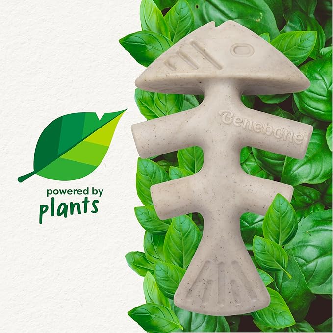 Benebone Green: Plant-Based Real Salmon Fishbone Dog Chew Toy for Medium Dogs, Dog Bones for Moderate Chewers, Made in USA