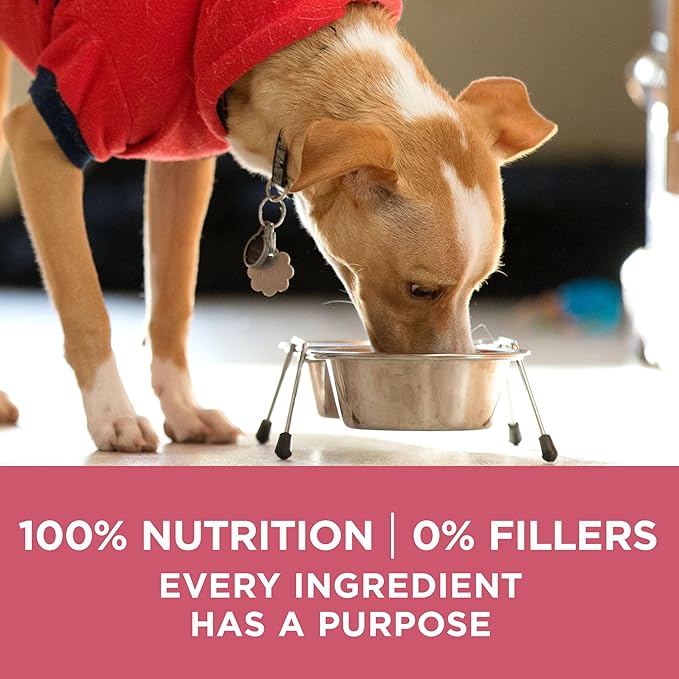 Purina ONE Natural, Sensitive Stomach Dry Dog Food, +Plus Skin & Coat Formula - 8 lb. Bag