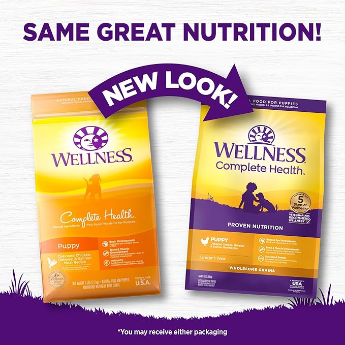 Wellness Complete Health Puppy Dry Dog Food, Wholesome Grain Kibble, Natural, Chicken, Oatmeal, and Salmon Recipe, 15 lb Bag